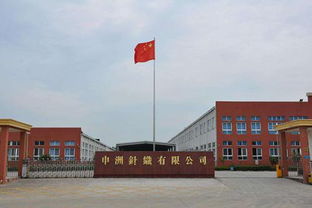 申洲国际半年业绩增收10.8%，生产效率提升成关键驱动力，运动类产品销售额占67.9%